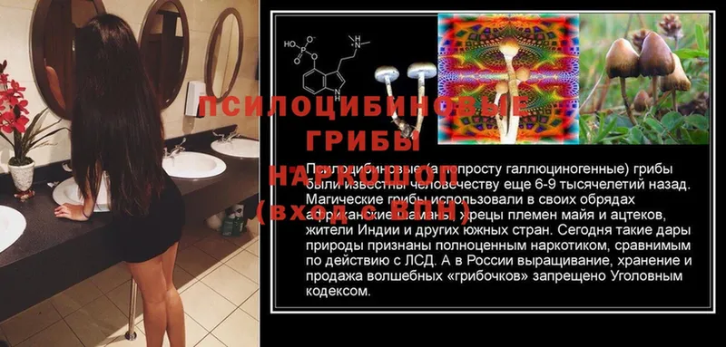 Галлюциногенные грибы MAGIC MUSHROOMS  Белоярский 